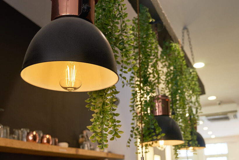 Modern restaurant with lamps and plants controlled with Shelly