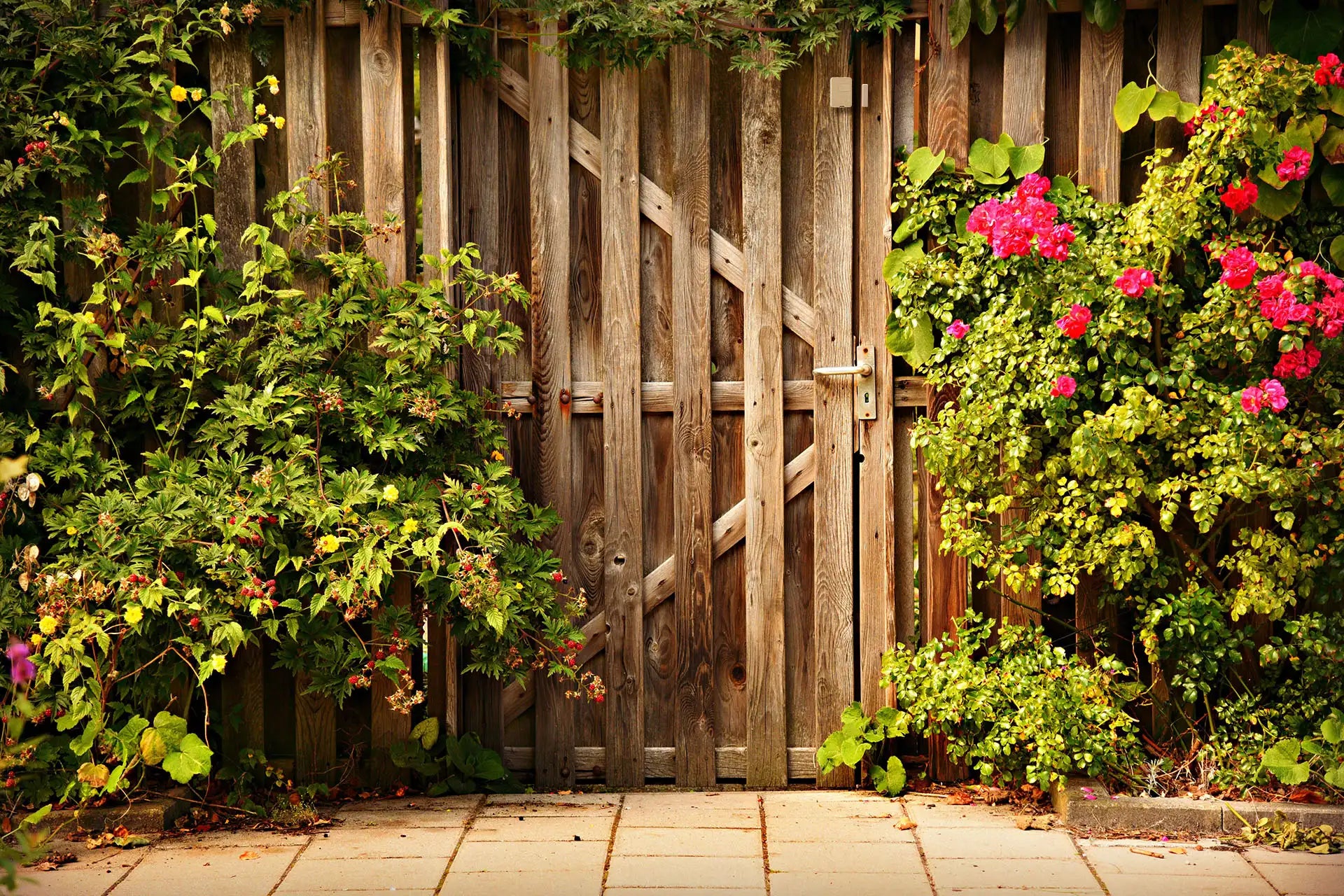 Greenhouse Heat Prevention