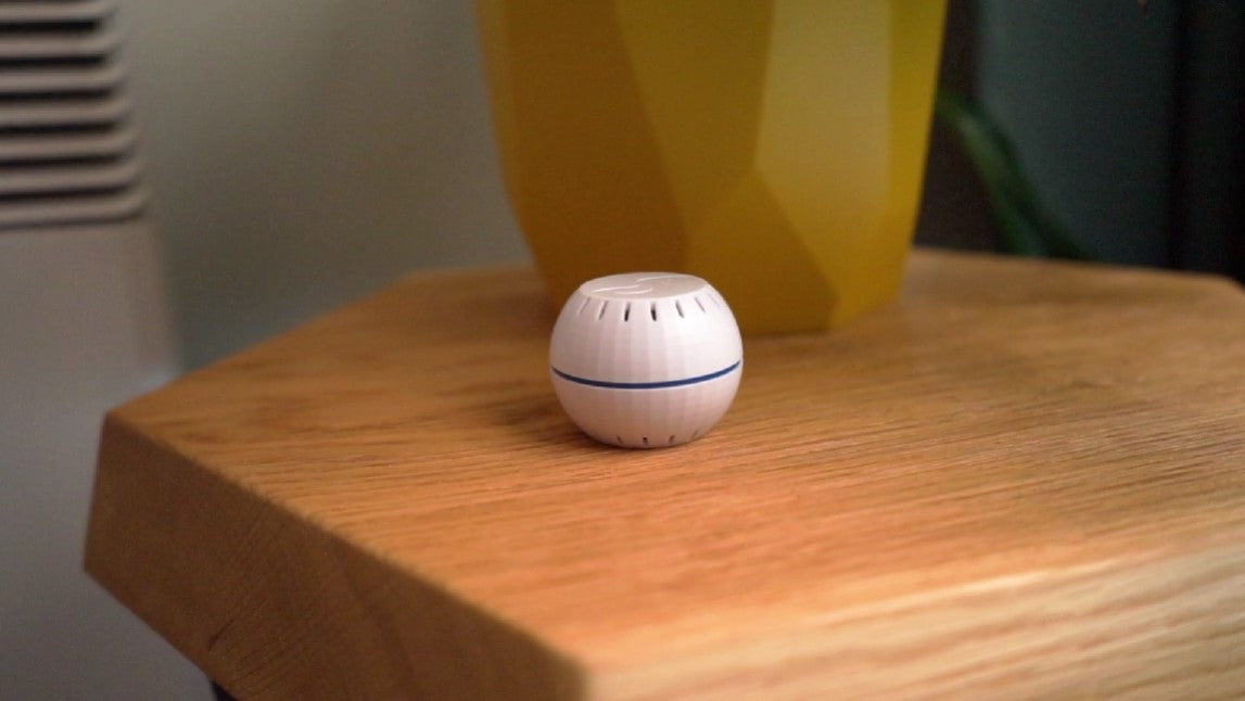 Shelly H&T black - Shelly Europe