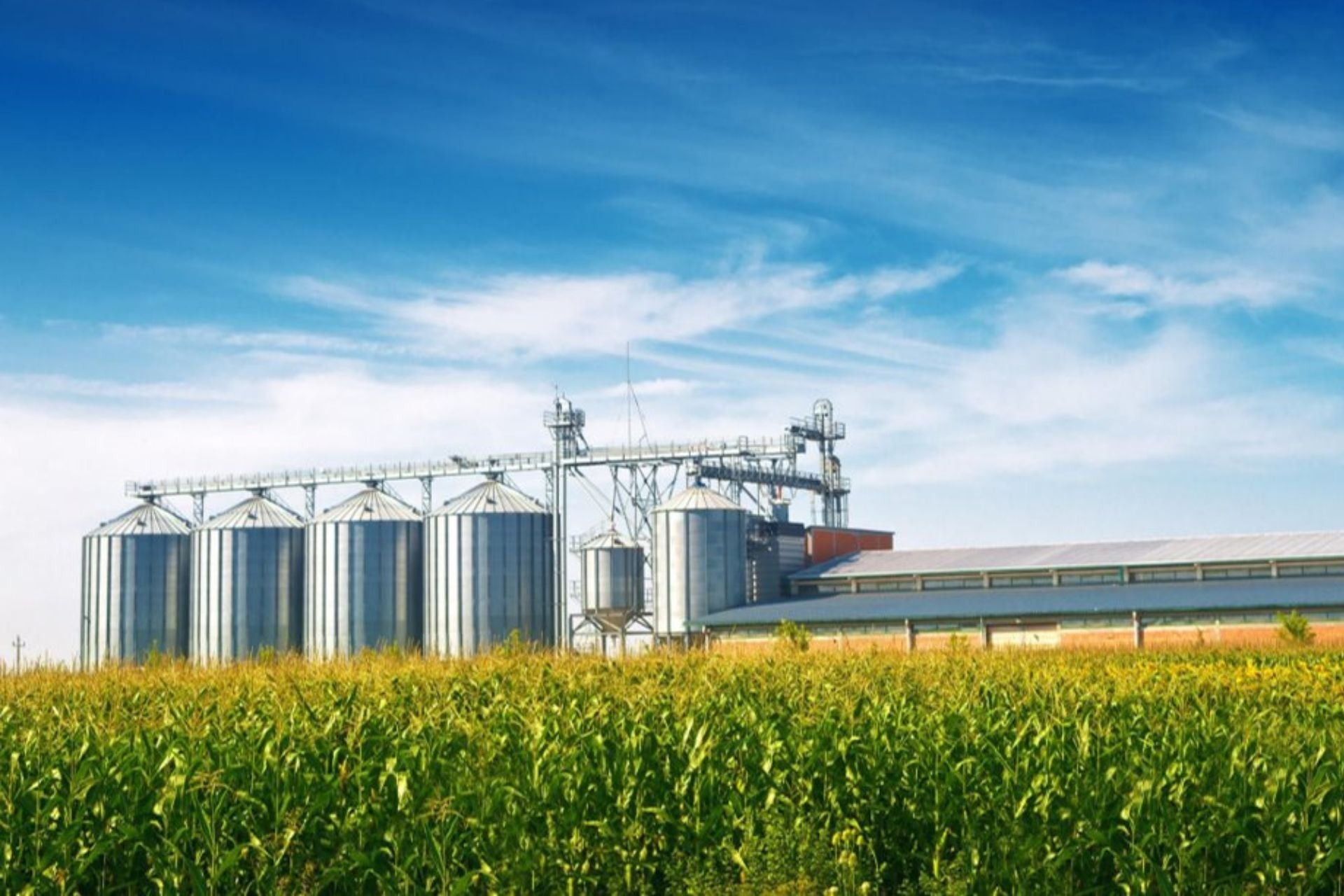 Precision Agriculture Remote Irrigation