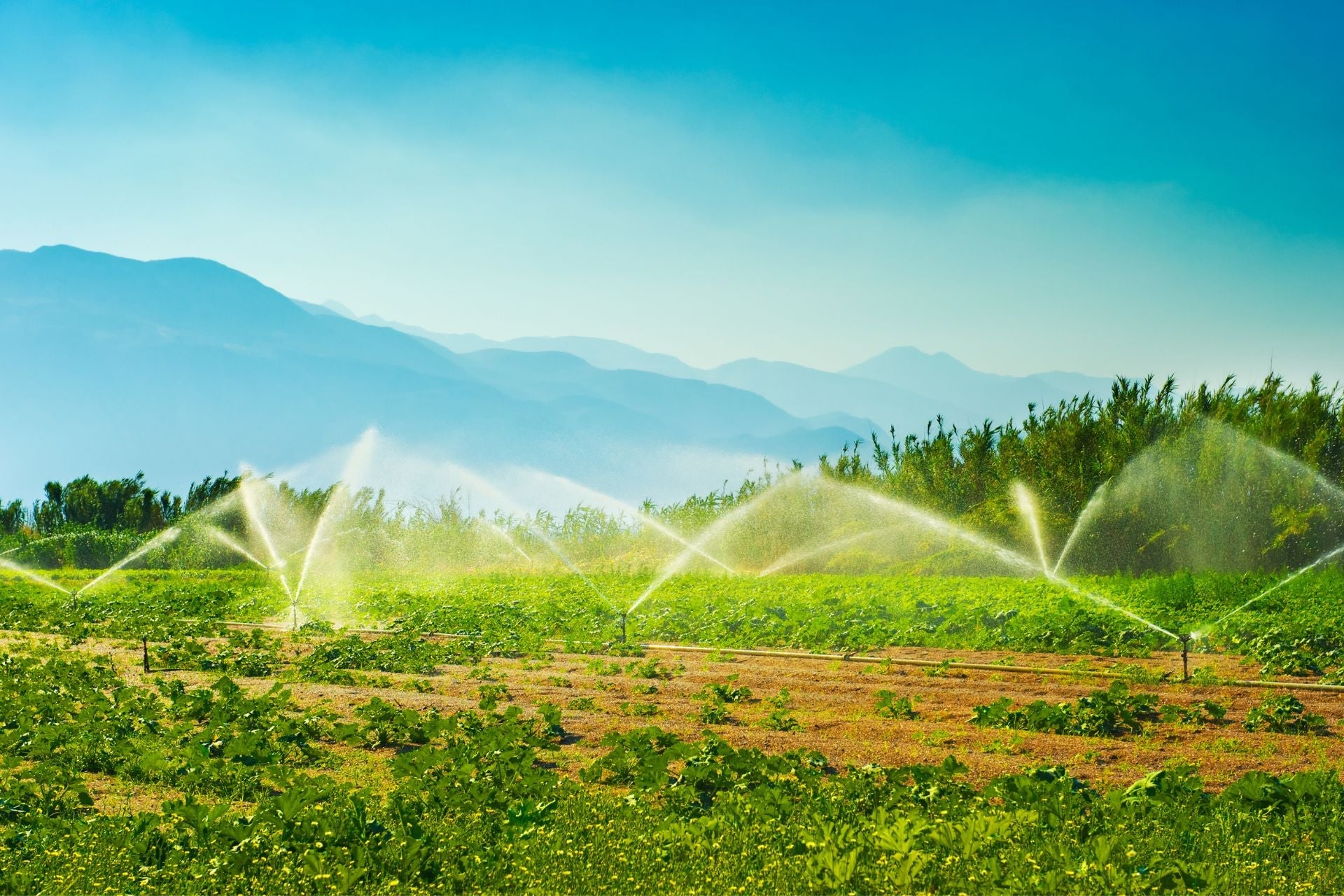 Precision Agriculture &amp; Remote Irrigation