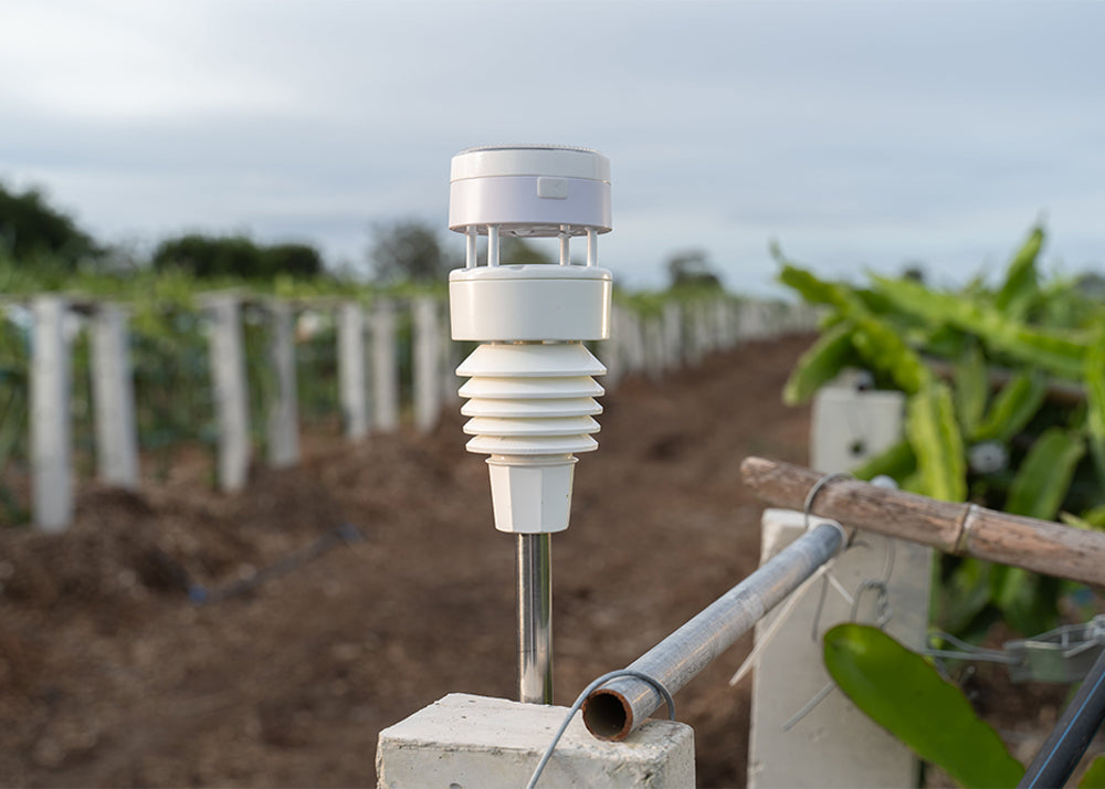 Smart Irrigation & Home Gardening