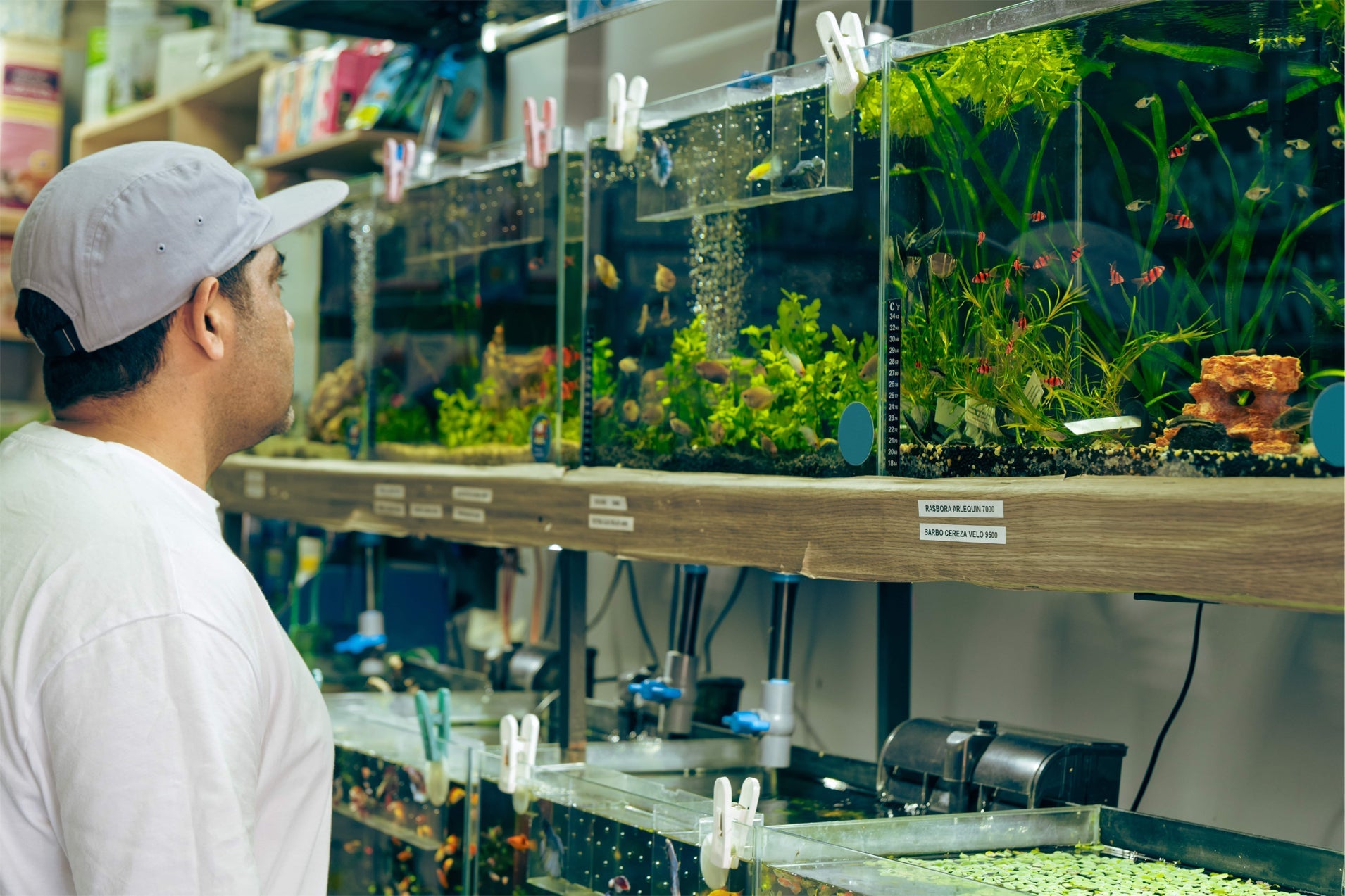 Multi-Point Temperature Monitoring