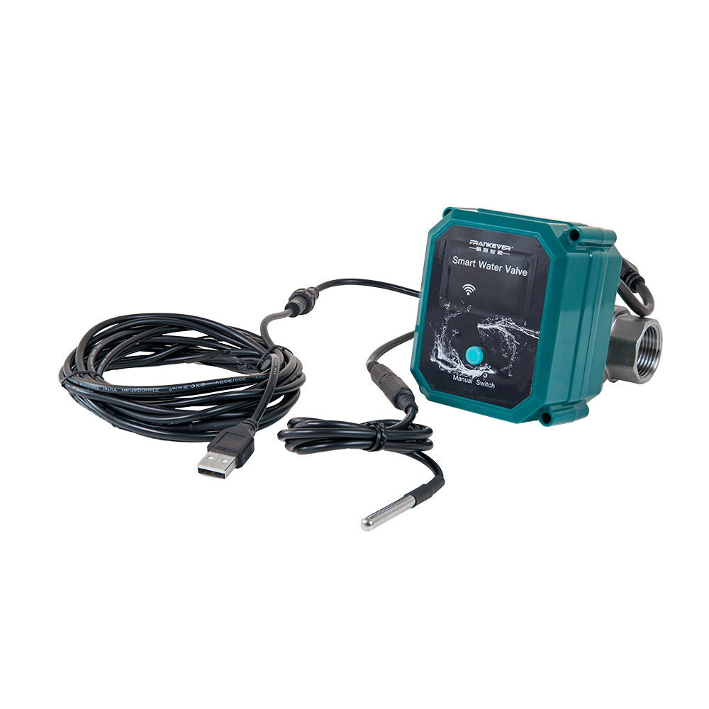 FrankEver Smart water valve DN20