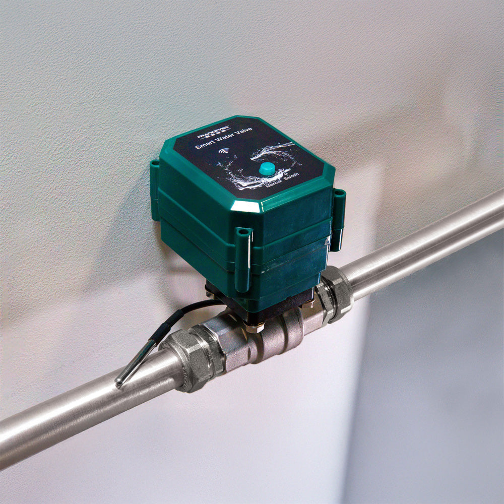 FrankEver Smart water valve DN20