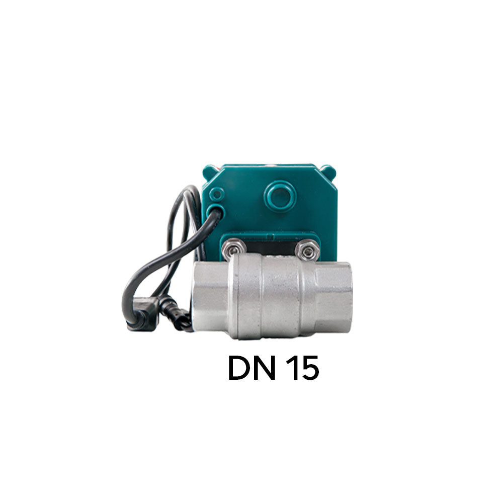 FrankEver Smart water valve DN15