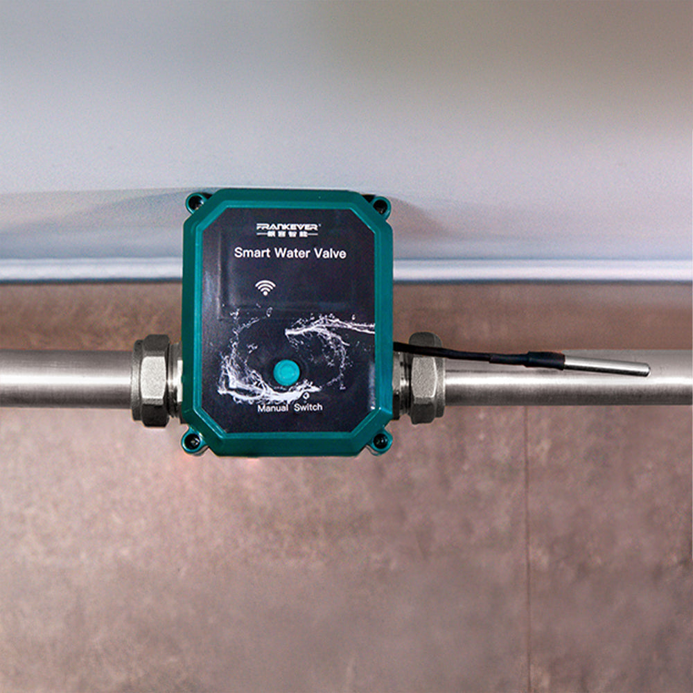 FrankEver Smart water valve DN20