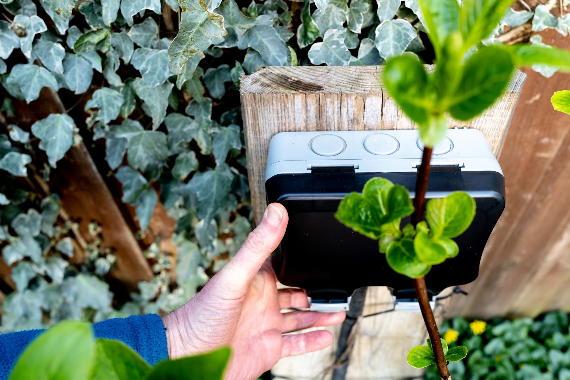 WLAN Steckdose Outdoor im Garten installiert – wetterfeste Außensteckdose  macht Geräte per Fernsteuerung und App smart steuerbar