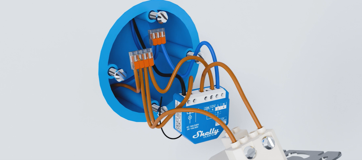 Shelly Europe