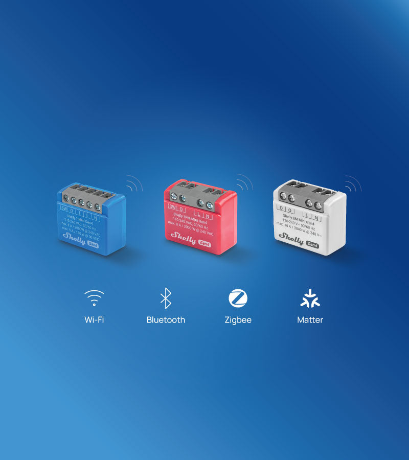 Shelly Europe