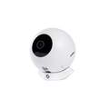 Shelly Camera List