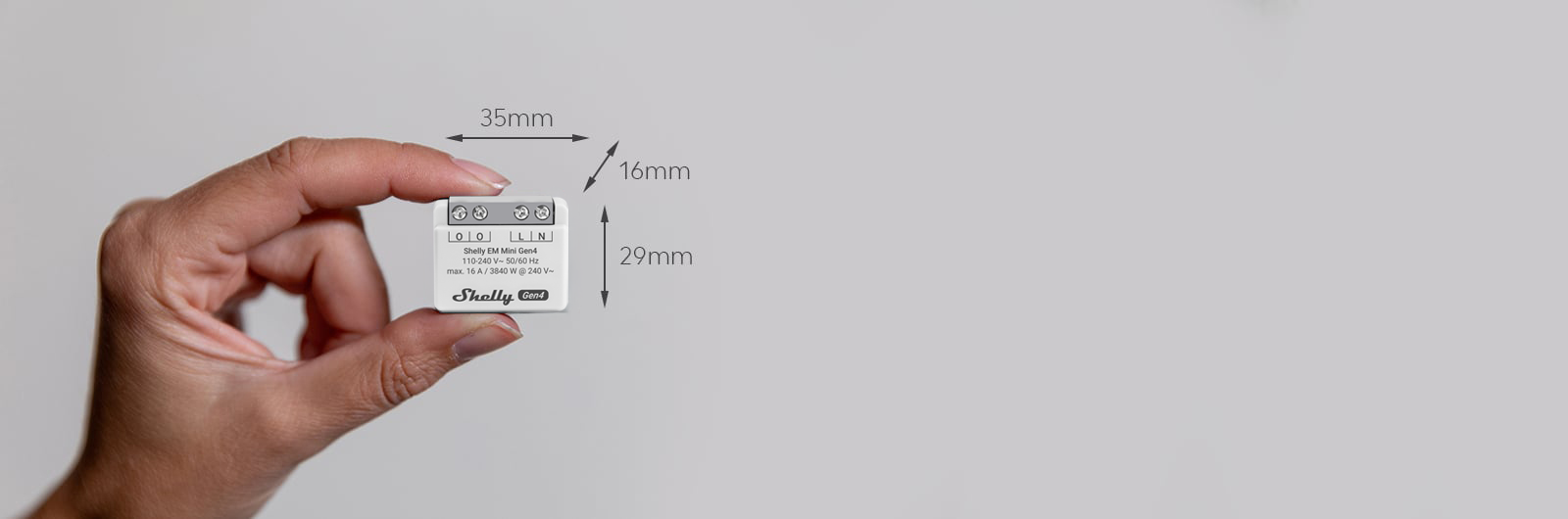 Shelly Europe