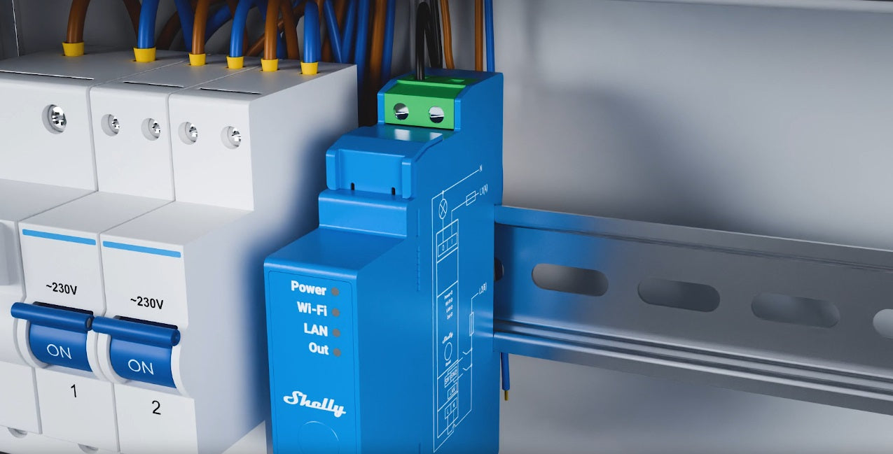 Shelly Europe