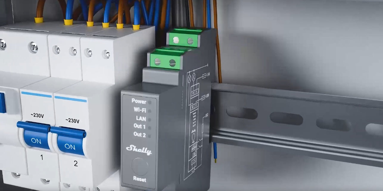 Shelly Europe