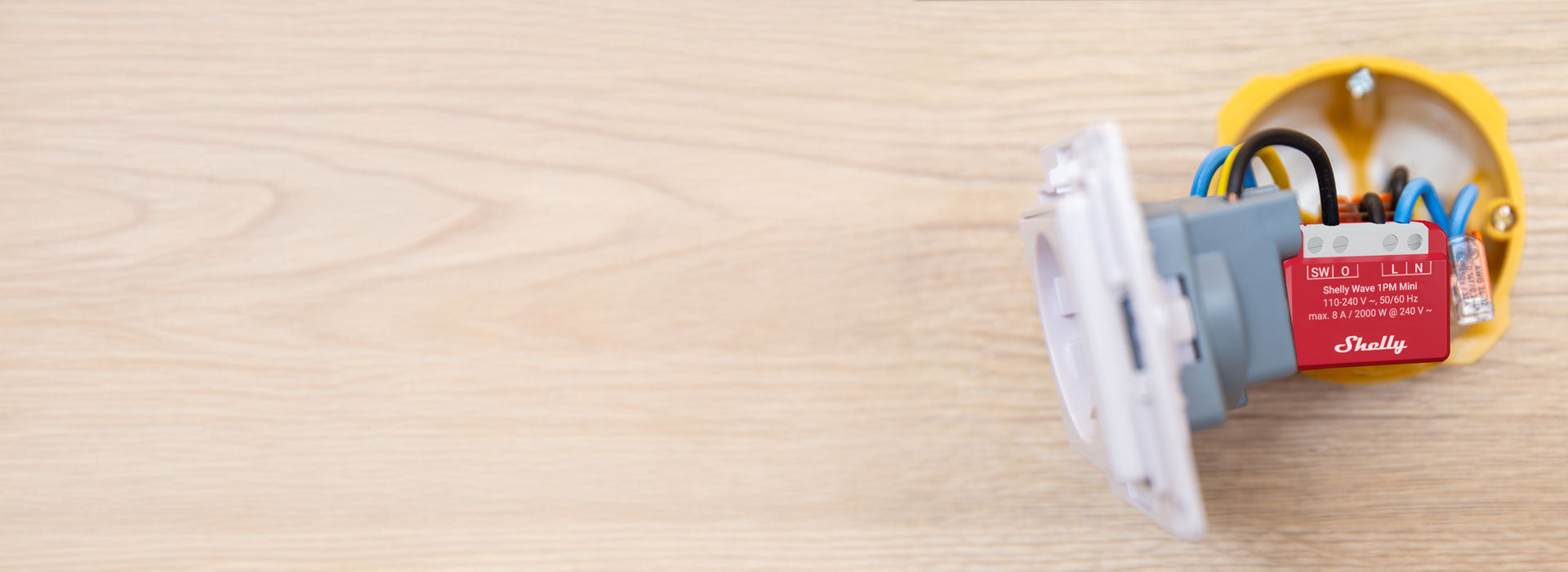 Shelly Europe