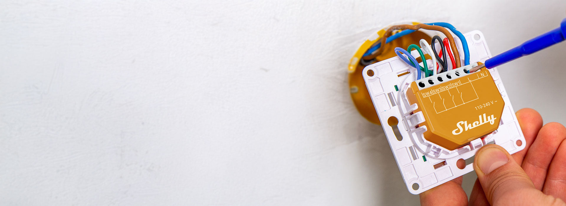 Shelly Europe