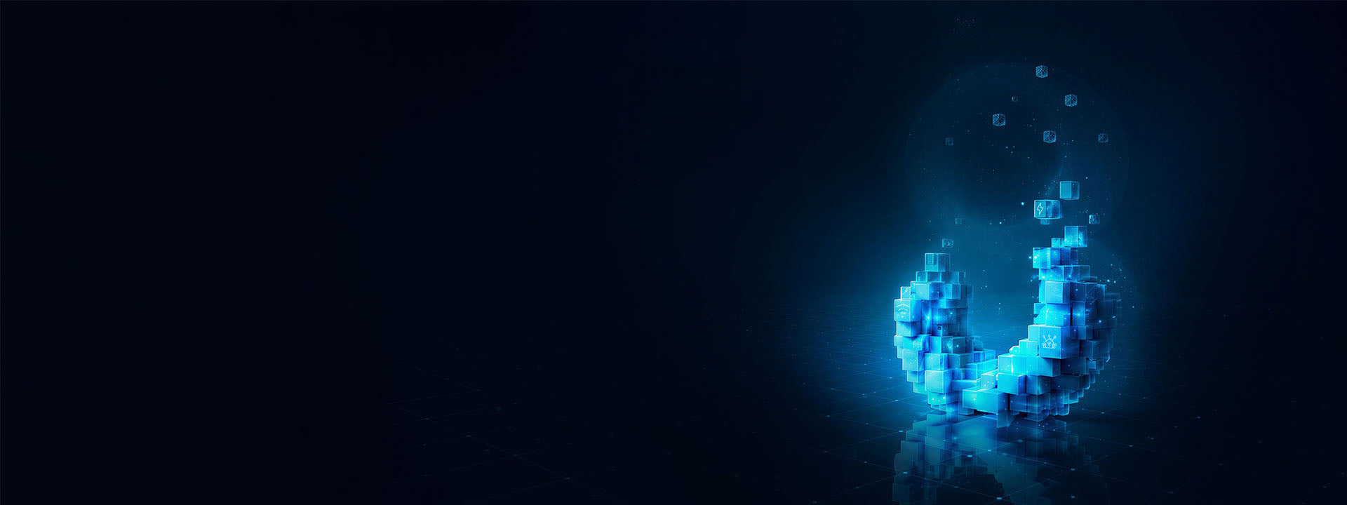 Shelly Europe