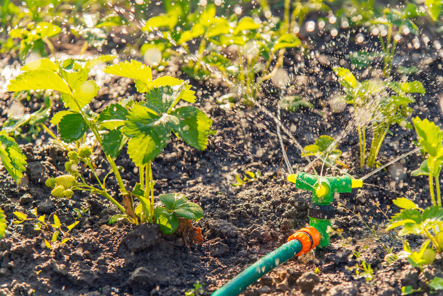 Irrigation inteligente para jardines