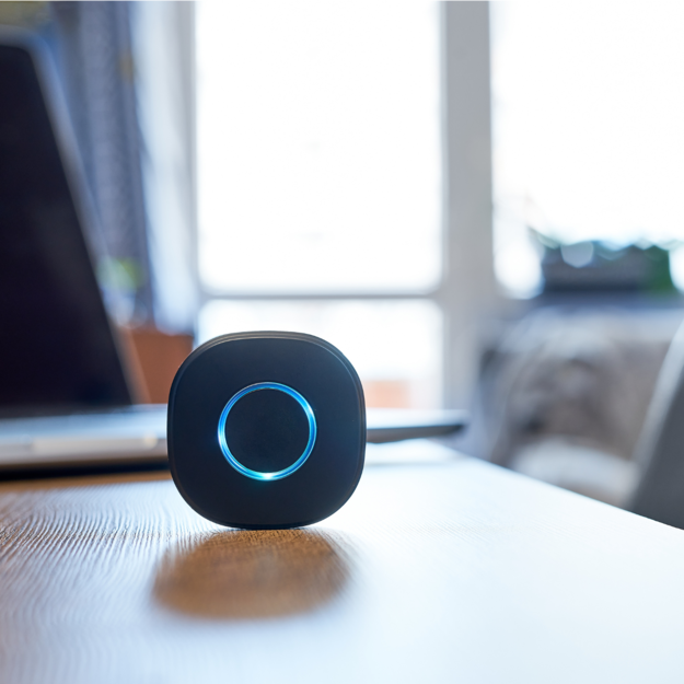 Shelly Button1 Black