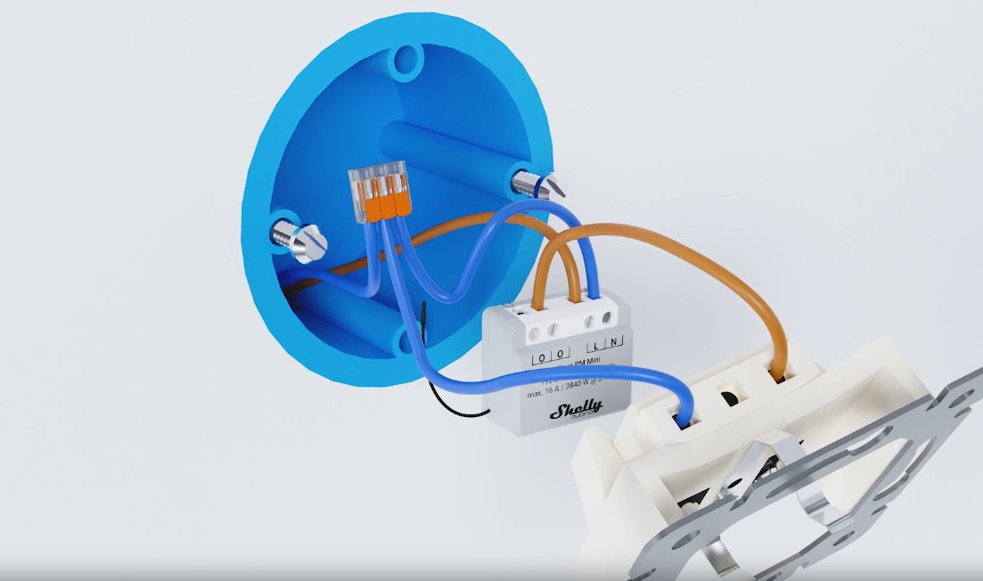 Shelly Europe