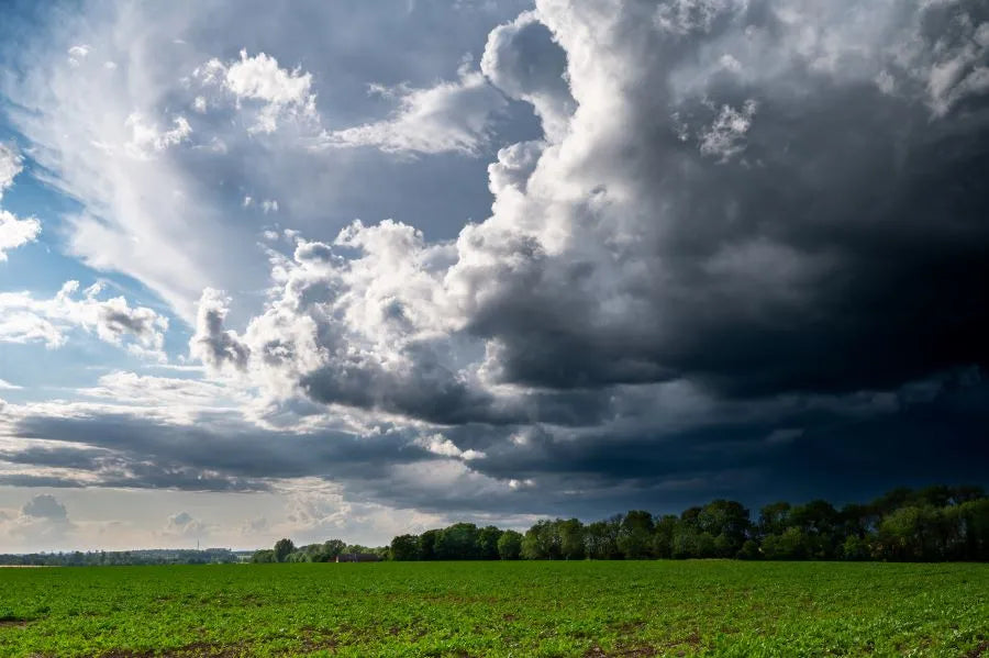 Threatening cloud front; wind sensor detects wind speed and retracts the awning in time