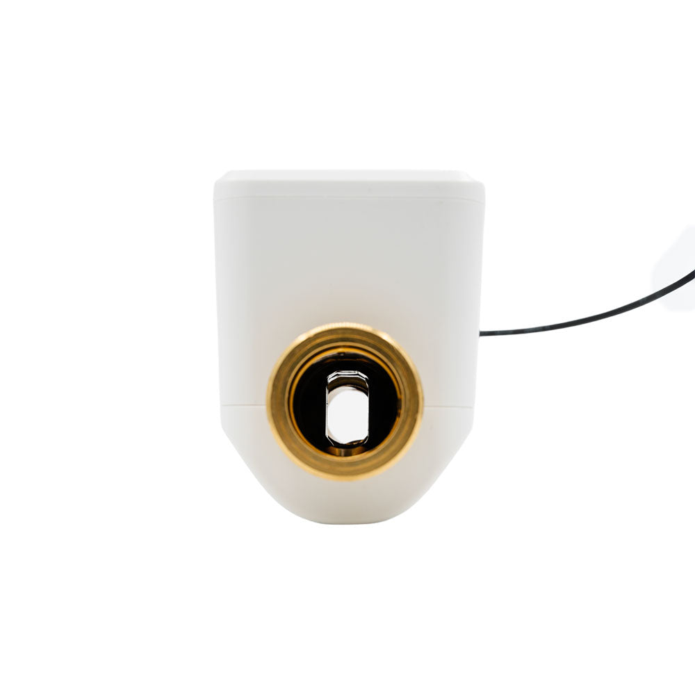 Neo Smart Water Valve NAS-WV02W