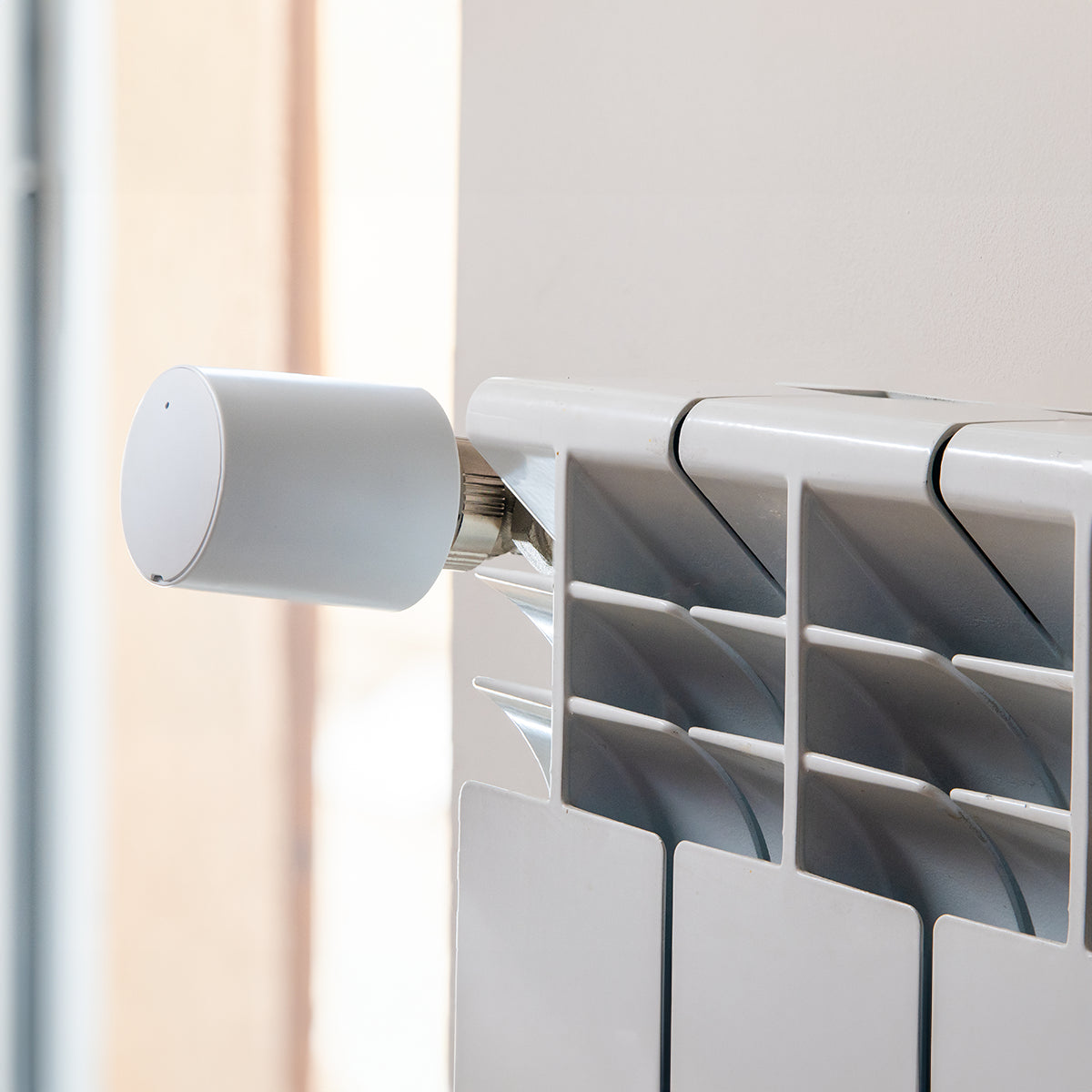 Shelly BLU TRV 2-pack